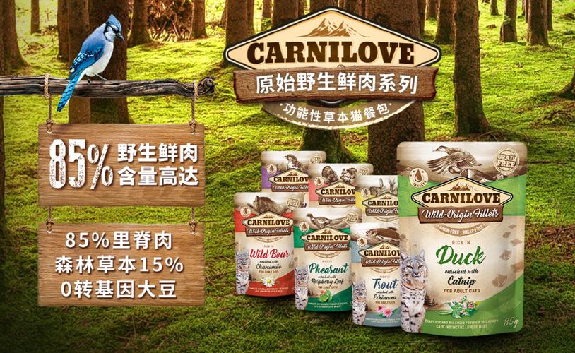 公司是高端宠物用品代理商,倾力打造萌宠专线,专注宠物全产品跨境贸易